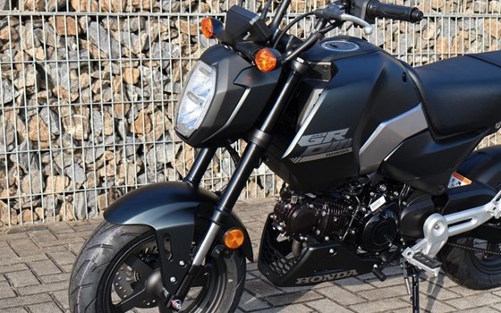 Gebrauchtmotorrad Honda MSX 125 - Bild 2