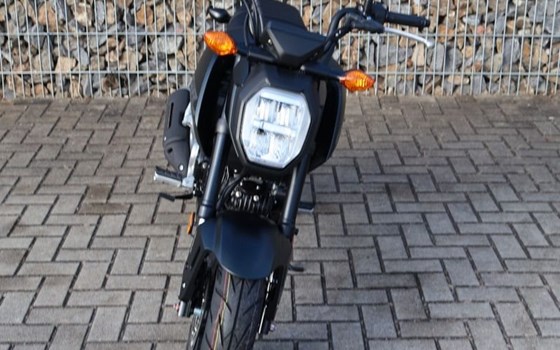 Gebrauchtmotorrad Honda MSX 125 - Bild 5