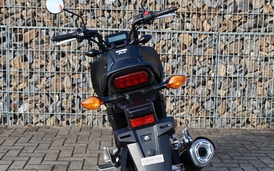 Gebrauchtmotorrad Honda MSX 125 - Bild 6