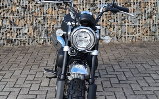 Gebrauchtmotorrad Honda Monkey 125 - Bild 5