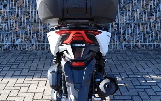 Gebrauchtmotorrad Honda Forza 125 - Bild 6