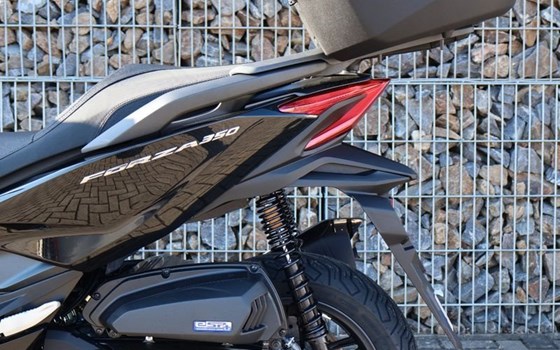 Gebrauchtmotorrad Honda Forza 350 - Bild 4