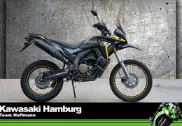 Neumotorrad Voge 300 Rally