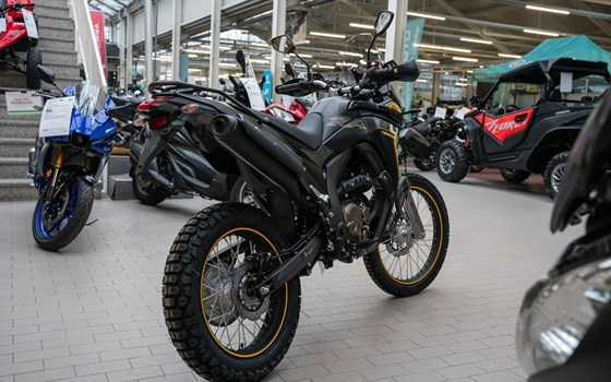 Neufahrzeug Voge 300 Rally - Bild 5