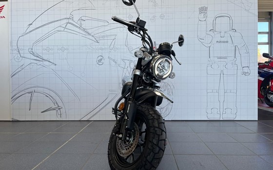 Gebrauchtmotorrad Honda Monkey 125 - Bild 8