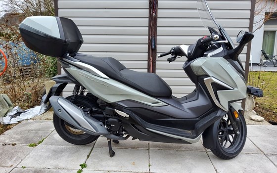 Gebrauchtmotorrad Honda Forza 350 - Bild 1