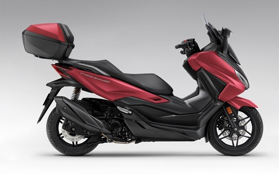 Neufahrzeug Honda Forza 350 - Bild 2