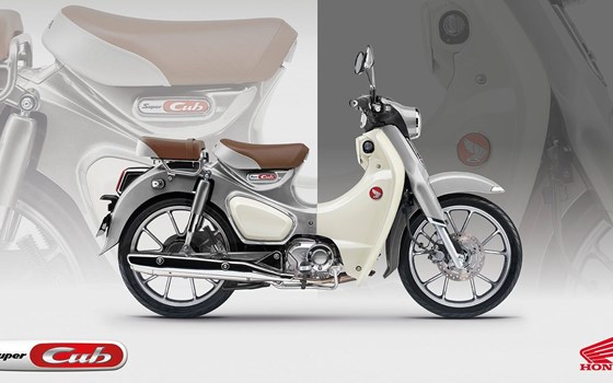Neufahrzeug Honda Super Cub C 125 - Bild 2