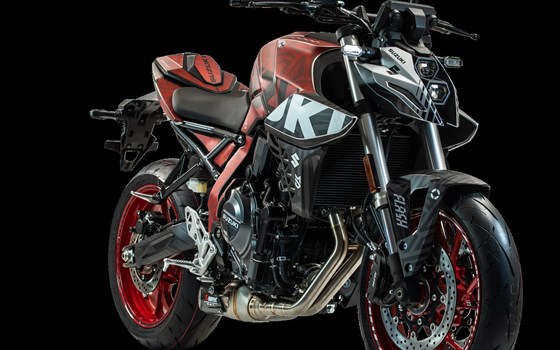 Neufahrzeug Suzuki GSX-8S - Bild 3