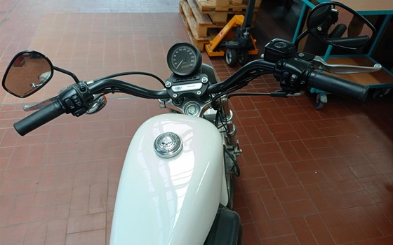 Gebrauchtmotorrad Harley-Davidson Sportster XL 883 - Bild 10