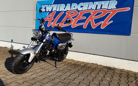 Gebrauchtmotorrad Honda Dax - Bild 2