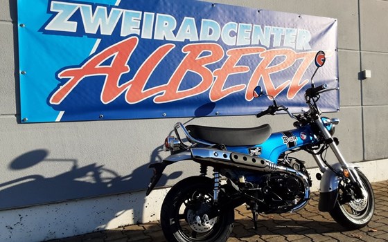 Gebrauchtmotorrad Honda Dax - Bild 6