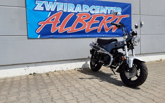 Gebrauchtmotorrad Honda Dax - Bild 2