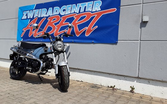 Gebrauchtmotorrad Honda Dax - Bild 6