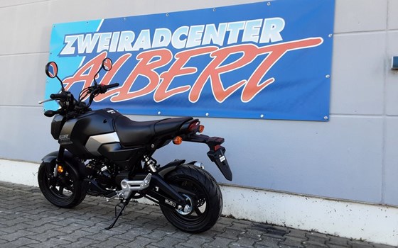 Gebrauchtmotorrad Honda MSX 125 - Bild 3