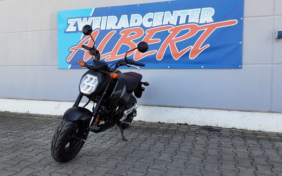 Gebrauchtmotorrad Honda MSX 125 - Bild 8