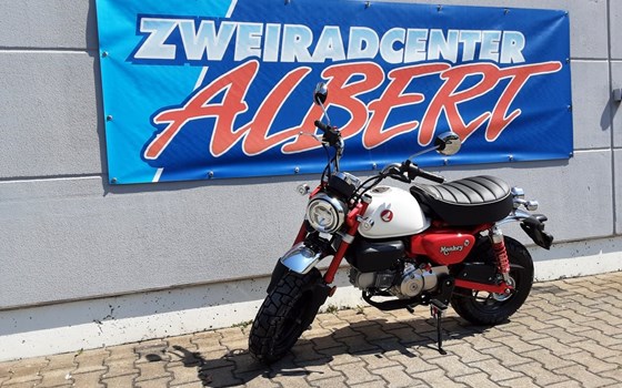 Gebrauchtmotorrad Honda Monkey 125 - Bild 3