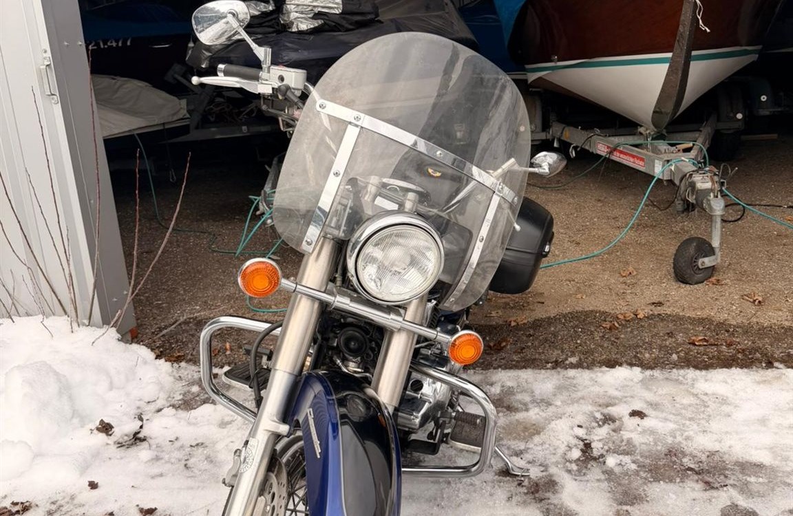 Angebot Yamaha XVS 1100 Drag Star