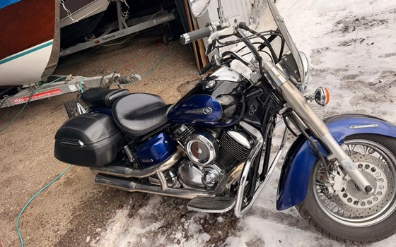 Gebrauchtmotorrad Yamaha XVS 1100 Drag Star - Bild 4