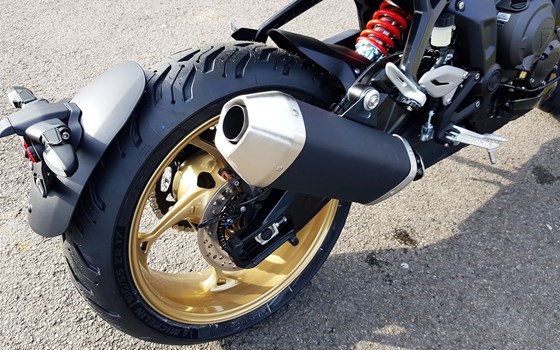 Neufahrzeug Triumph Trident 800 - Bild 11