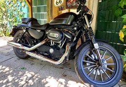 Gebrauchte Harley-Davidson Sportster XL 883 N Iron