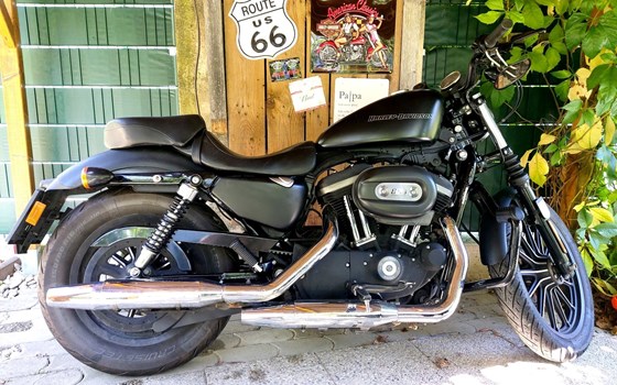 Gebrauchtmotorrad Harley-Davidson Sportster XL 883 N Iron - Bild 3
