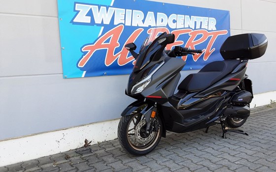 Gebrauchtmotorrad Honda Forza 125 Special Edition - Bild 3