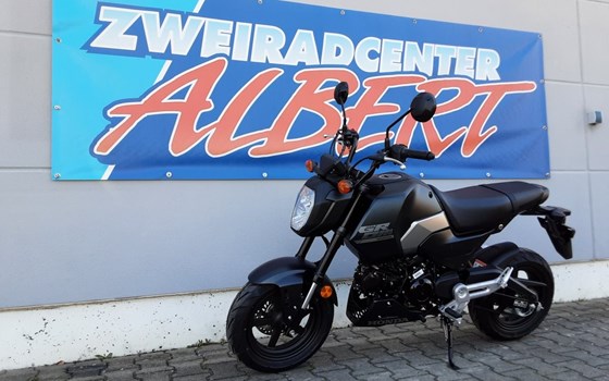 Neufahrzeug Honda MSX 125 - Bild 2