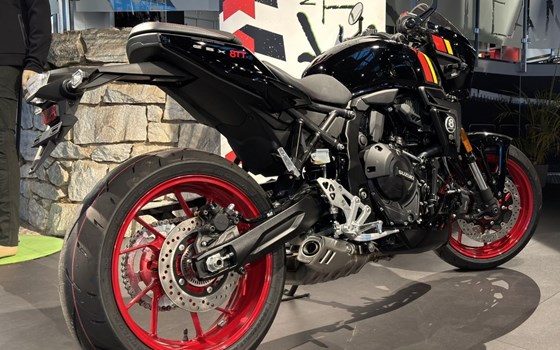 Neufahrzeug Suzuki GSX-8TT - Bild 6