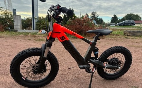 Neufahrzeug Apollo Commander 1000W - Bild 2