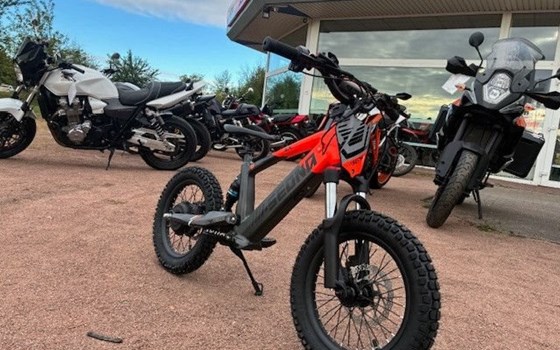 Neufahrzeug Apollo Commander 1000W - Bild 5