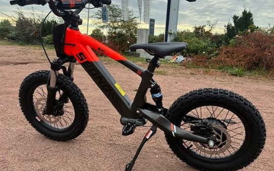 Neufahrzeug Apollo Commander 1000W - Bild 6