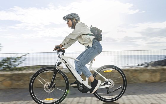 Neufahrzeug Yamaha CrossCore RC - Bild 3