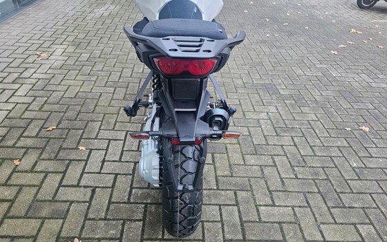 Neufahrzeug Moto Guzzi Stelvio Duecento Tributo - Bild 10