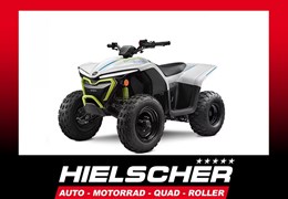 Neumotorrad CFMOTO CFORCE EV110