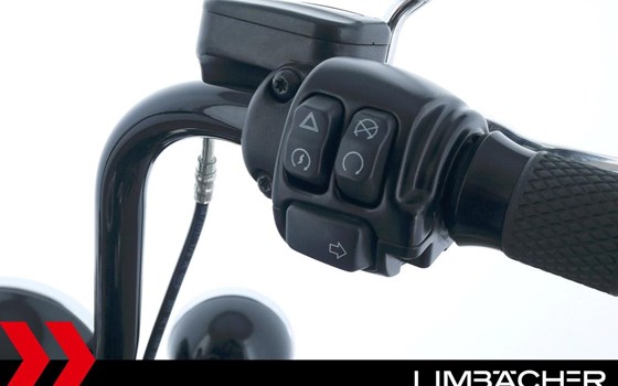 Gebrauchtmotorrad Harley-Davidson Softail Heritage Classic FLSTC - Bild 23