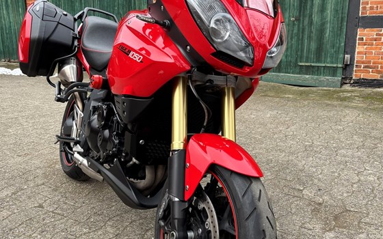 Gebrauchtmotorrad Triumph Tiger 1050 SE - Bild 7