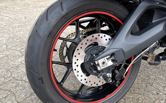 Gebrauchtmotorrad Triumph Tiger 1050 SE - Bild 12