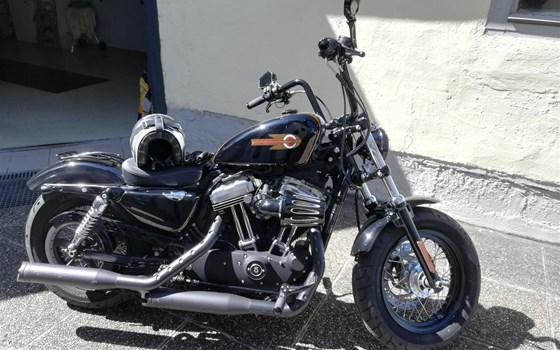 Gebrauchtmotorrad Harley-Davidson Sportster XL 1200 - Bild 1