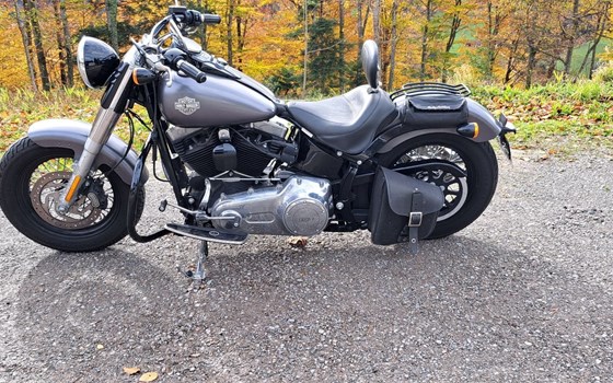 Motorrad Occasion Harley-Davidson Softail Slim FLS - Bild 1