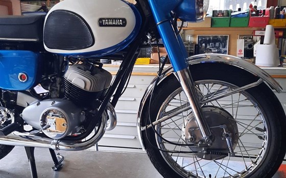 Motorrad Occasion Yamaha YDS-3 - Bild 6