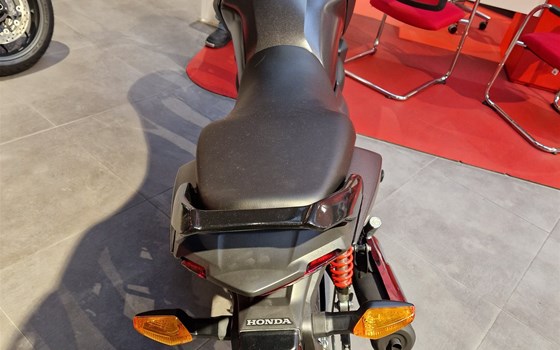 Neufahrzeug Honda CB125F - Bild 8