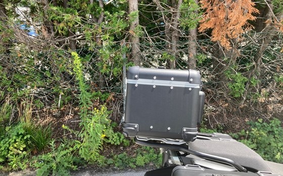 Neufahrzeug CFMOTO 700MT - Bild 11