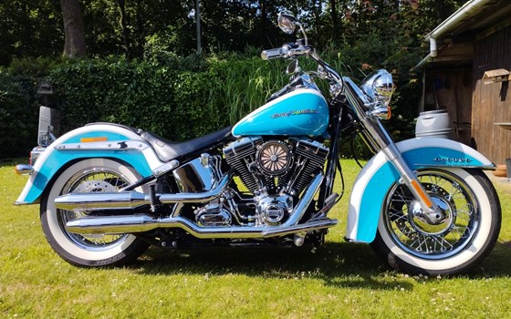 Gebrauchtmotorrad Harley-Davidson Softail Deluxe FLSTN - Bild 1