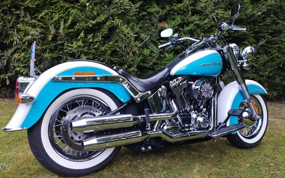 Gebrauchtmotorrad Harley-Davidson Softail Deluxe FLSTN - Bild 3