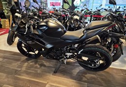 Neumotorrad Kawasaki Ninja 500