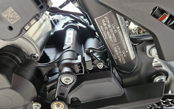 Neufahrzeug CFMOTO 800NK Advanced - Bild 22