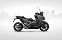 Die Top 5 Sportroller am Markt