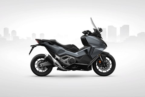 Die Top 5 Sportroller am Markt