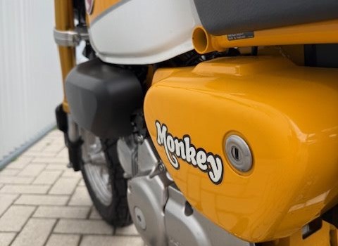 Gebrauchtmotorrad Honda Monkey 125 - Bild 10